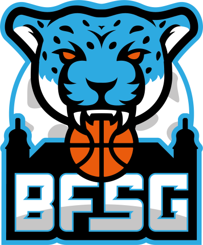 Logo BASKET FLERS SAINT GEORGES